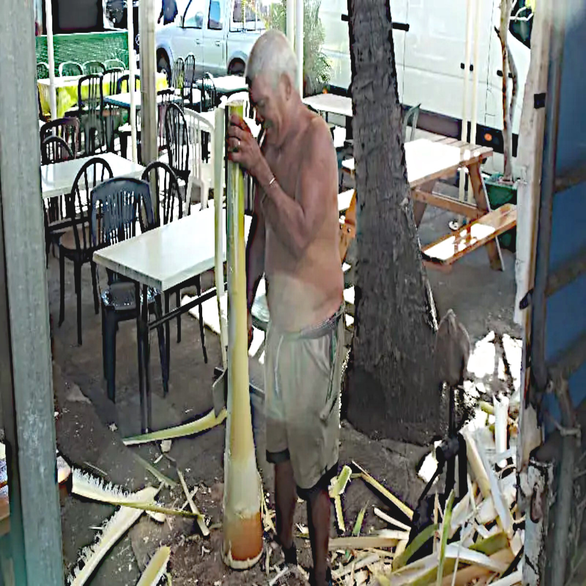 Marchand épluchant un cœur de palmiste à la machette au marché forain, La Réunion. de Saint-Paul
