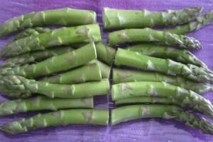 asperges vertes