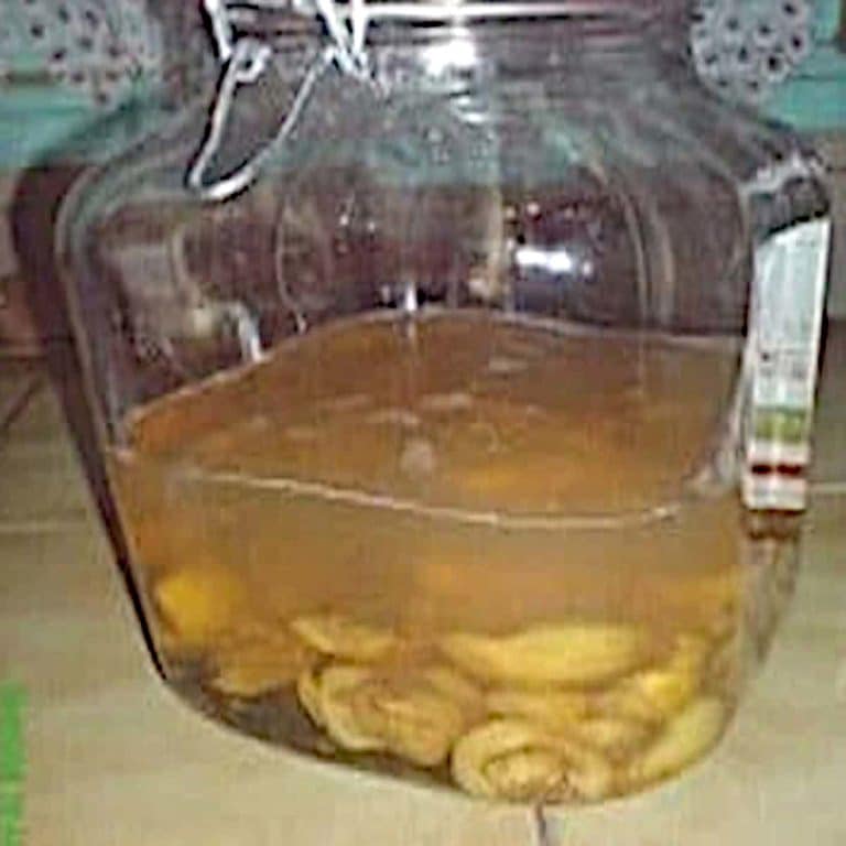 bocal de rhum arrangé bibasse