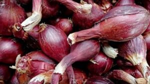 Sauce grillade câpres