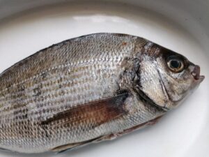 Poisson salé - Daurade rouge