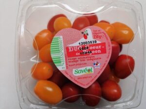 Tomate cerises- Savéol