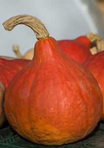 Écraser - Légume - courge - potiron