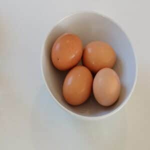 Je suis oeuf - Oeuf dur