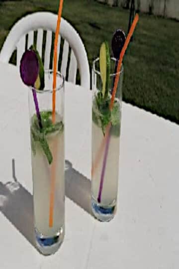 mojito-limonade-plein-air