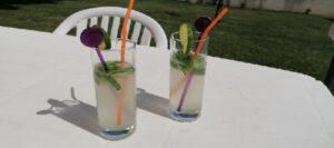mojito limonade plein air