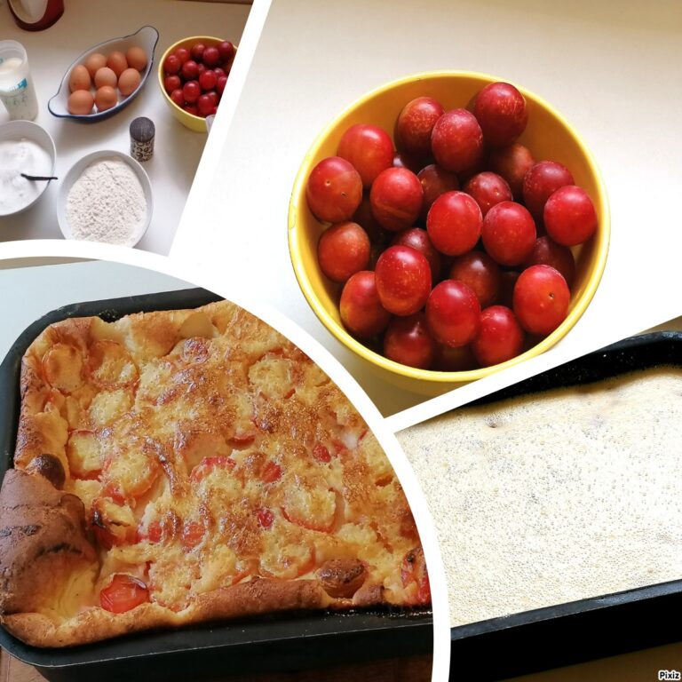 clafoutis aux mirabelles mozaique