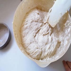 pousse de la pâte
