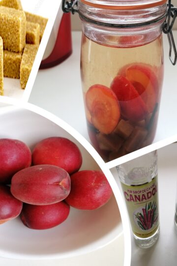 étape du rhum arrangé aux abricots