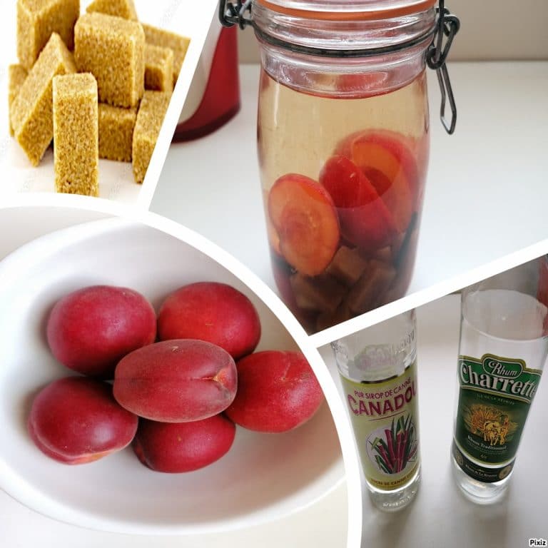 étape du rhum arrangé aux abricots