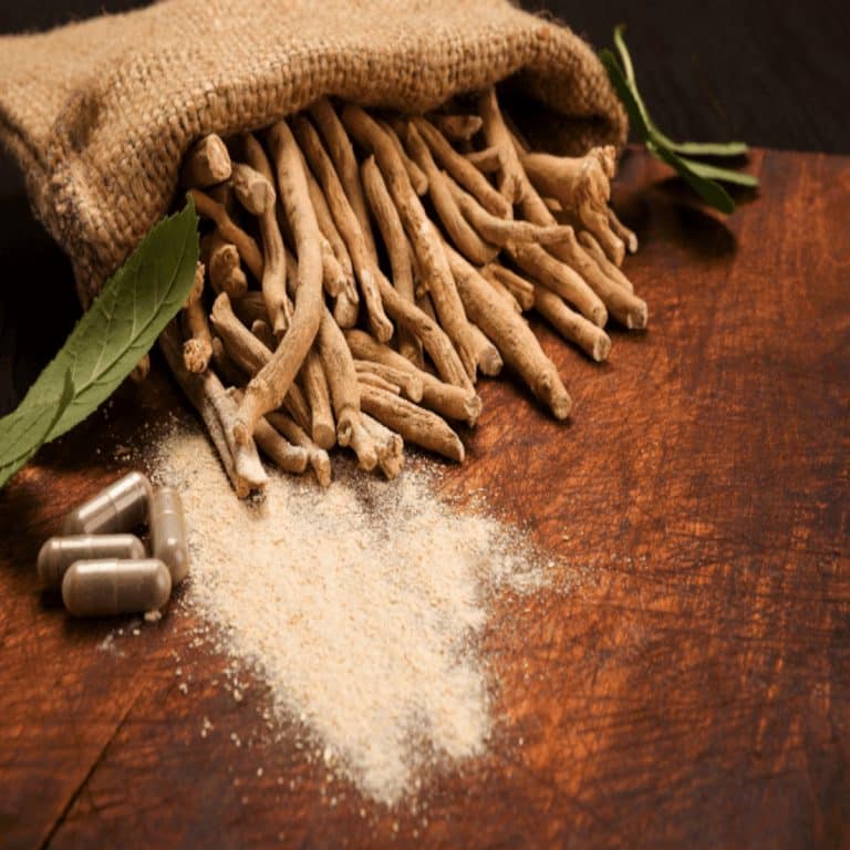 ashwagandha est une plante venue d’Inde