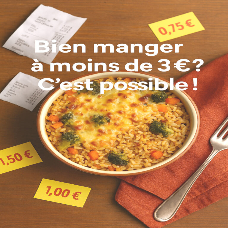 Gratin riz-légumes maison sur table avec tickets de caisse, étiquettes prix mini, texte : bien manger à moins de 3 € pour cuisiner équilibré