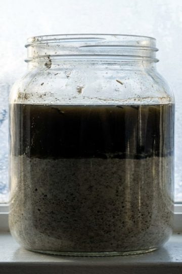 Coupe transversale d'un bocal de levain négligé montrant une épaisse couche de liquide noirâtre (hooch) séparée de la masse de farine grise au fond